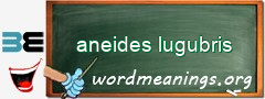 WordMeaning blackboard for aneides lugubris